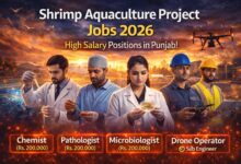 Best Shrimp Aquaculture Project Jobs 2026 in Punjab