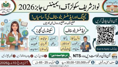 Nawaz Sharif Schools of Eminence Jobs 2026