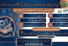 Punjab Socio-Economic Registry PSER Jobs