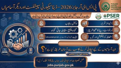 Punjab Socio-Economic Registry PSER Jobs