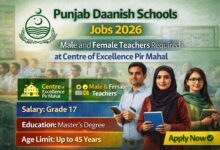 Punjab Daanish Schools Jobs