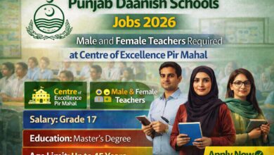 Punjab Daanish Schools Jobs