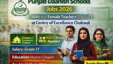 Punjab Daanish Schools Jobs