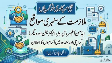 Pakistan Rangers Sindh Foundation Jobs