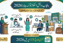 Punjab Daanish Schools Taunsa Jobs