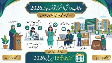 Punjab Daanish Schools Taunsa Jobs